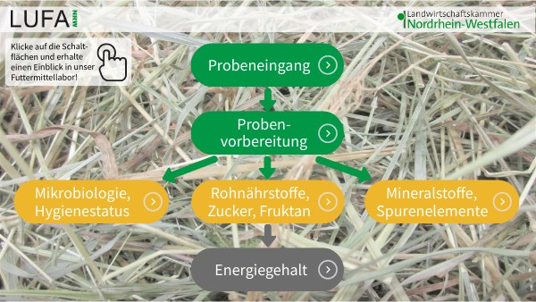 Lufa Nrw Verlängert Und Erweitert Gmp Zertifizierung – NAVTFV