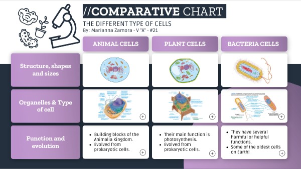 Types of cells comparative chart