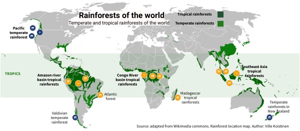 Rainforests Map