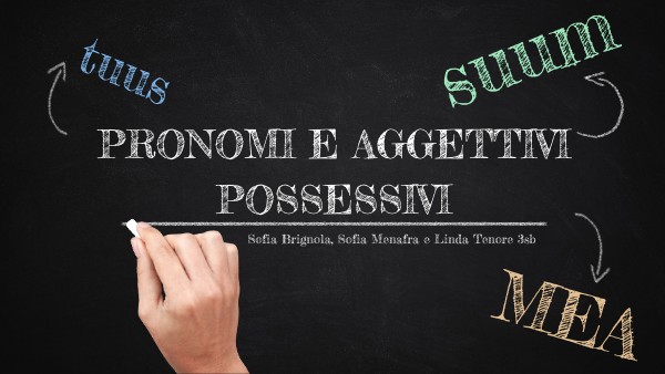 pronomi e aggettivi possessivi