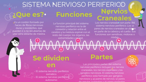 Sistema Nervioso Periférico
