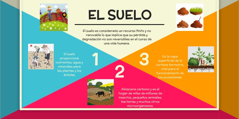 El Suelo Es Renovable O No Renovable
