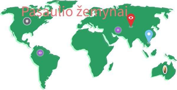 pasaulio žemynai
