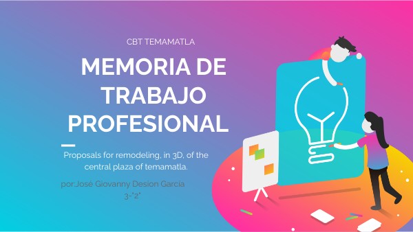 PRESENTACION DE MEMORIA DE TRABAJO PROFESIONAL