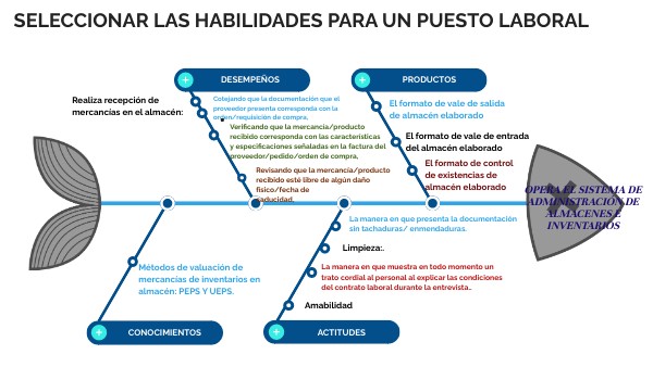 seleccionar las habilidades para un puesto laboral