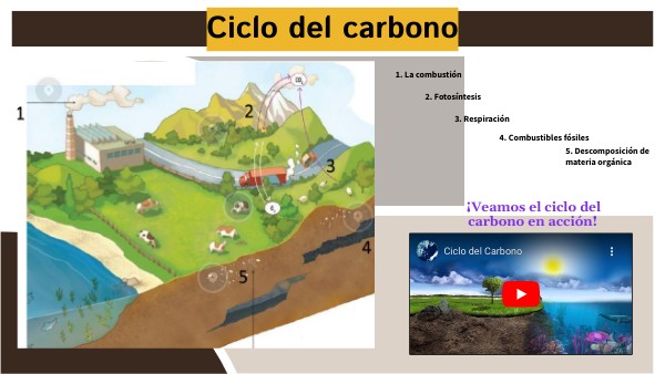 ___Ciclo del carbono