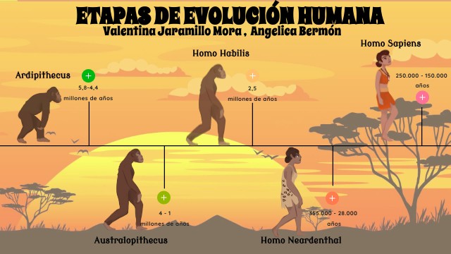 ETAPAS DE EVOLUCIÓN HUMANA