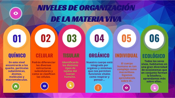 NIVELES DE ORGANIZACIÓN DE LA MATERIA VIVA