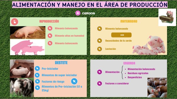 ALIMENTACIÓN EN CERDOS