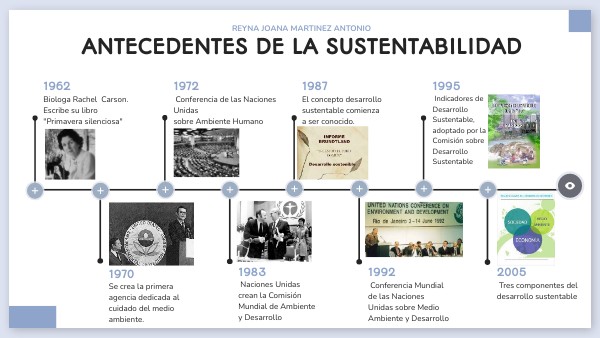 ANTECDENTES DE LA SUSTENTABILIDAD