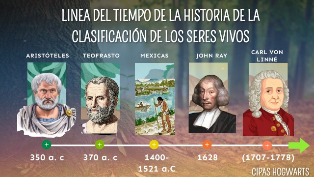 Linea del tiempo de la historia de la clasificación de los seres vivos