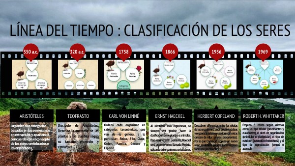 Línea del tiempo de la historia de la clasificación de los seres vi