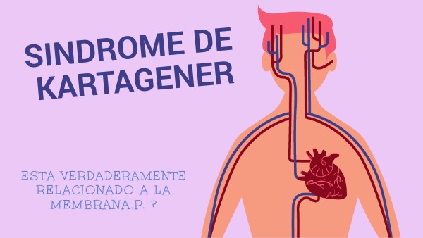 Que Es El Sindrome De Kartagener Y Su Importancia Medica