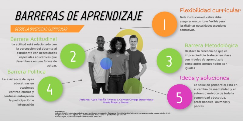 BARRERAS DE APRENDIZAJE flexibilidad curricular