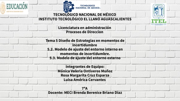 Modelo De Ajuste Del Entorno Interno En Momentos De Incertidumbre