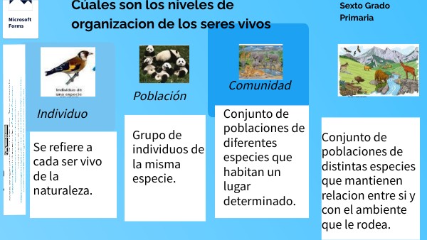 Niveles de organización en un ecosistema