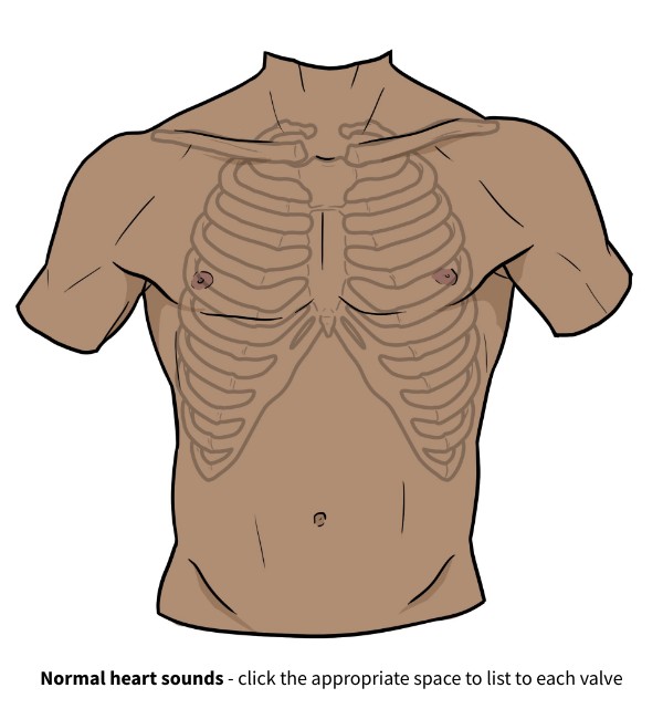 John Auscultation of the Chest