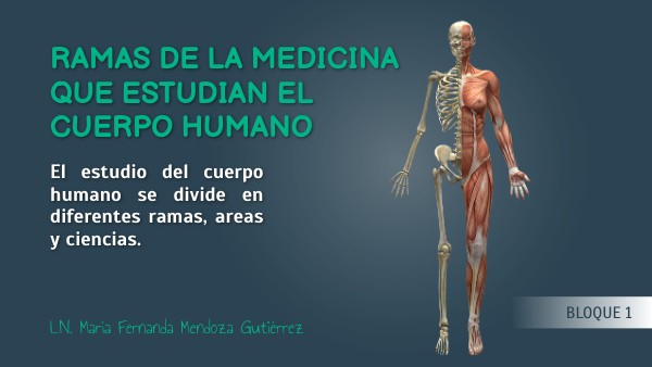 Ramas de la medicina