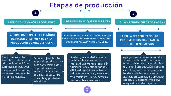 Etapas de producción