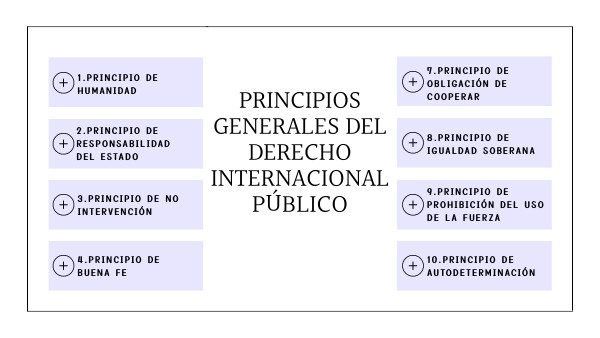 Principios Generales Del Derecho Internacional Público