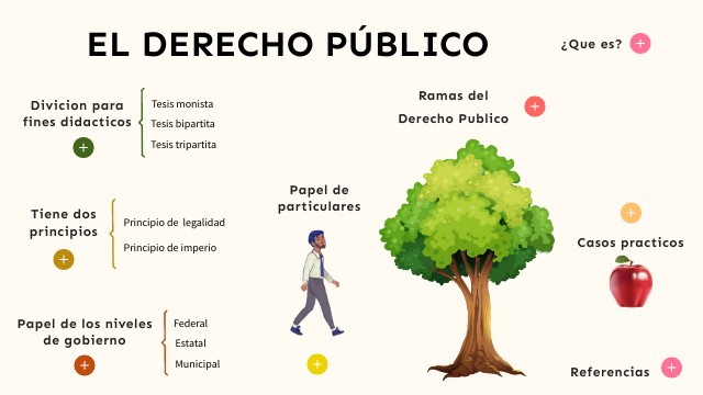 El Derecho Publico.