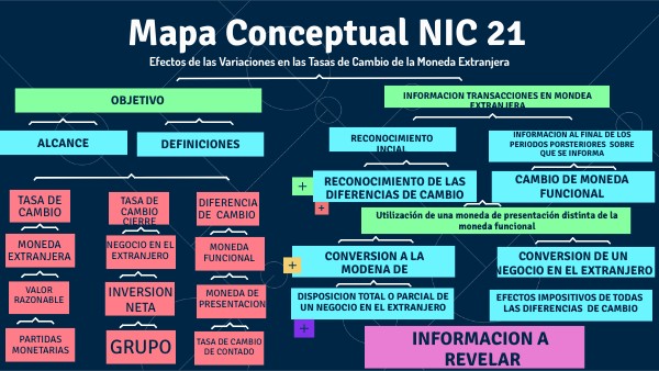 MAPA CONCEPTUAL NIC 21