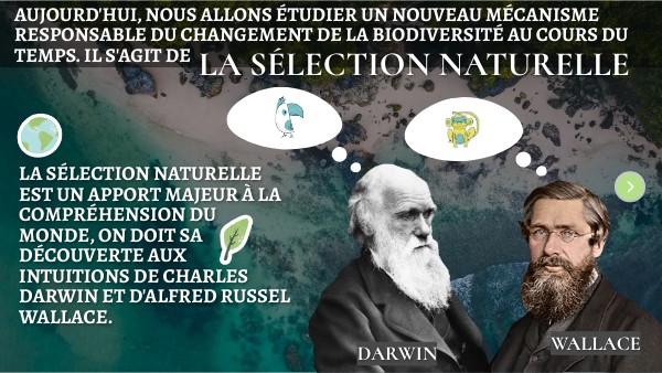 La sélection naturelle - Seconde SVT