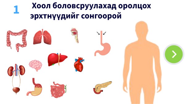 Хүний биеийн эрхтэн тогтолцоо