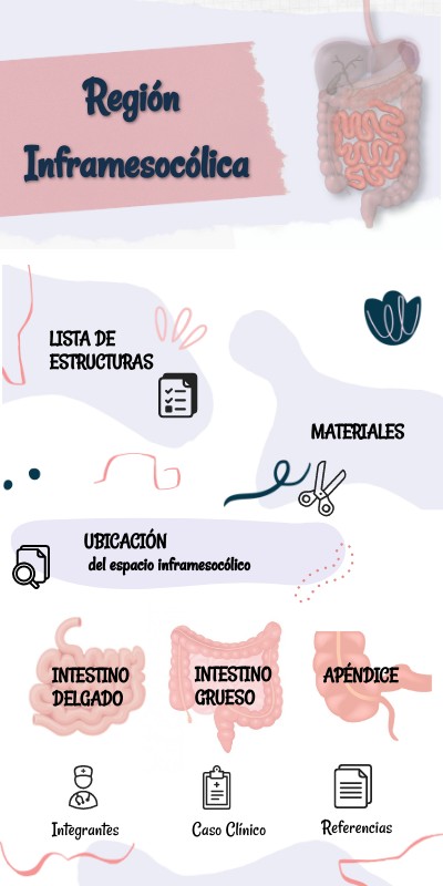 Infograf a Regi n Inframesoc lica