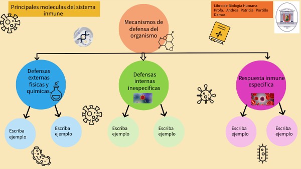 MAPA CONCEPTUAL- MECANISMOS DE DEFENSAS DEL ORGANISMO