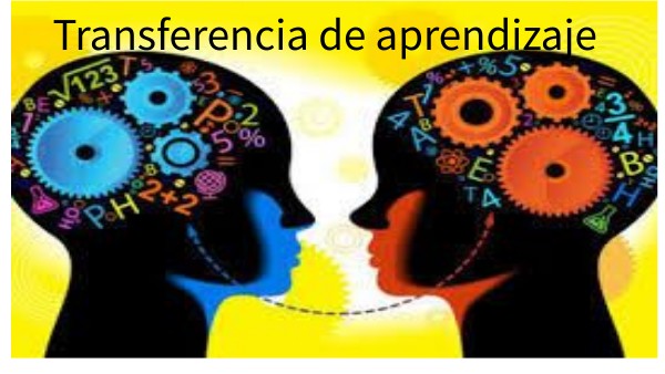 (transferencia de aprendizaje)