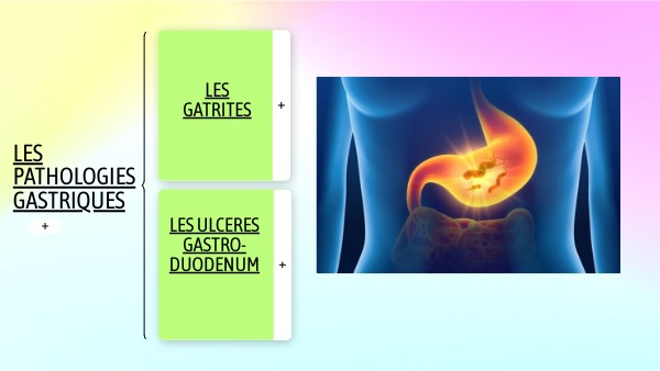 Les pathologies gastriques