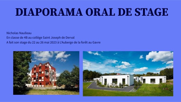 diapo oral de stage