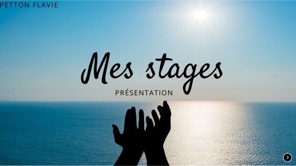 Présentation stages bts tourisme