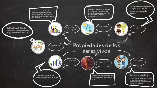 propiedades de los seres vivos