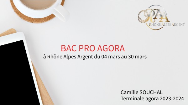 rapport de stage mars 2024