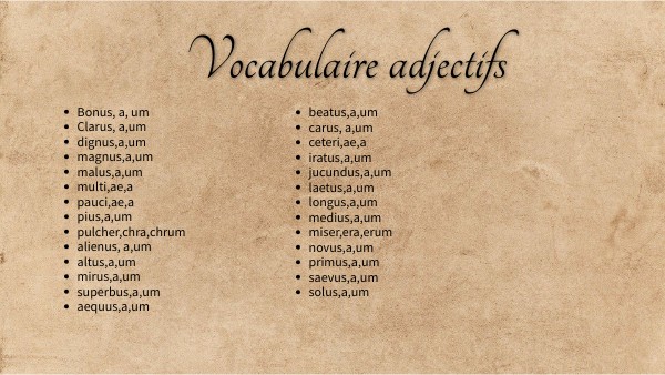 Latin vocabulaire adjectif