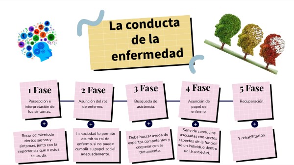 Fases De La Conducta De Enfermedad