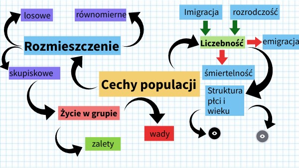 Cechy populacji