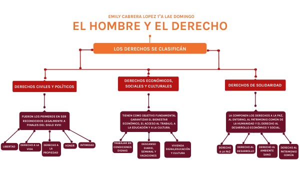 EL HOMBRE Y EL DERECHO