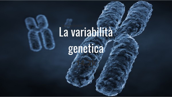 Variabilità genetica