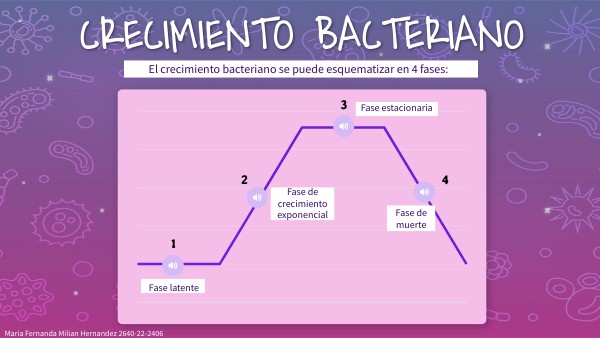 Fases del crecimiento bacteriano