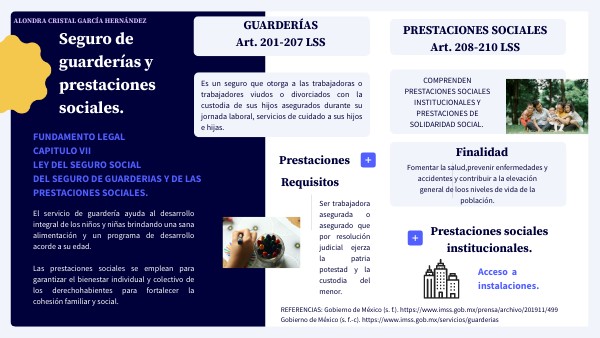 Seguro De Guarderias Y Prestaciones Sociales