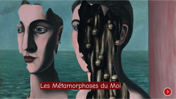 Les métamorphoses du Moi