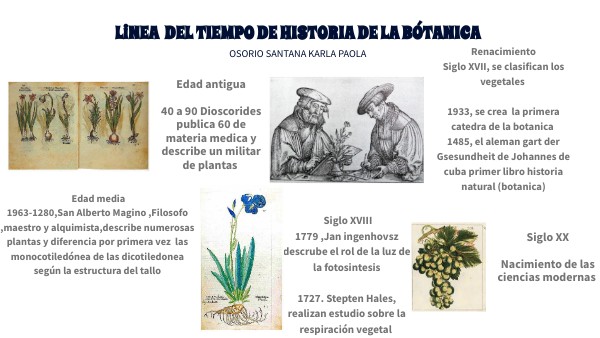 Linea de tiempo de historia de la botanica