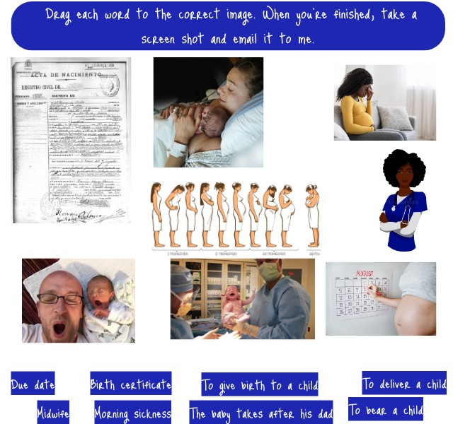 Pregnancy Vocabulary