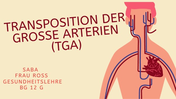 Transposition Der Grossern Arterien – JRRMO
