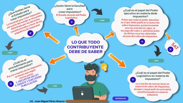 ORGANIZADOR GRÁFICO ILUSTRADO