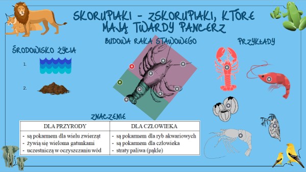 Skorupiaki