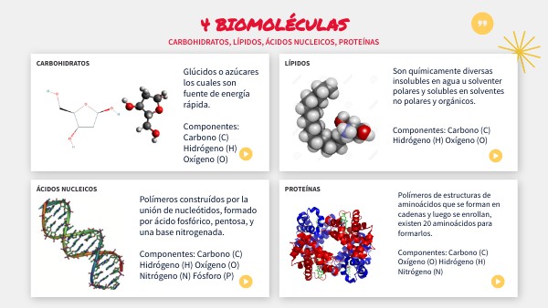 Infografía biomoléculas